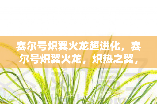 赛尔号炽翼火龙超进化，赛尔号炽翼火龙，炽热之翼，燃尽苍穹的传奇