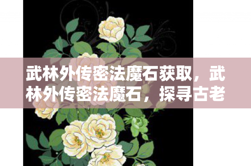 武林外传密法魔石获取,武林外传密法魔石,探寻古老武学的神秘力量 武林外传密法魔石获取,武林外传密法魔石,探寻古老武学的神秘力量