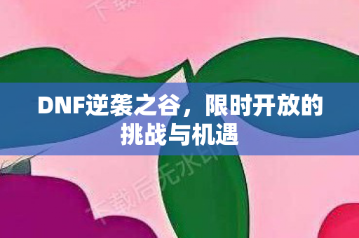 DNF逆袭之谷，限时开放的挑战与机遇