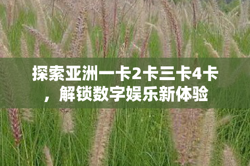 探索亚洲一卡2卡三卡4卡,解锁数字娱乐新体验 探索亚洲一卡2卡三卡4卡,解锁数字娱乐新体验