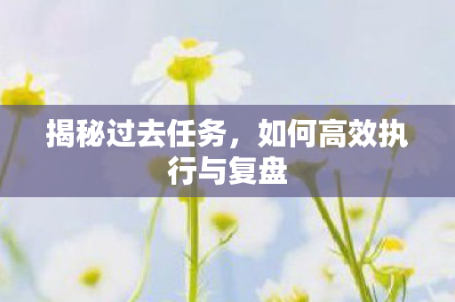 揭秘过去任务，如何高效执行与复盘
