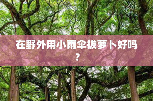 在野外用小雨伞拔萝卜好吗？