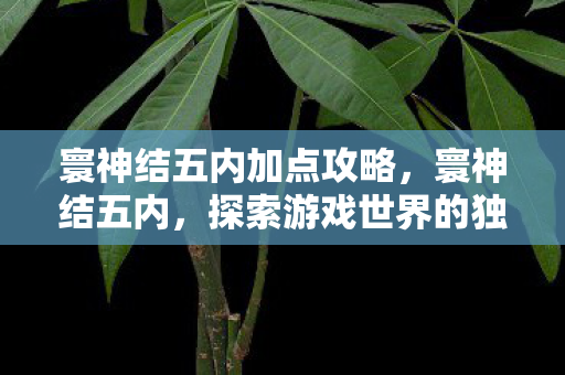 寰神结五内加点攻略,寰神结五内,探索游戏世界的独特魅力 寰神结五内加点攻略,寰神结五内,探索游戏世界的独特魅力