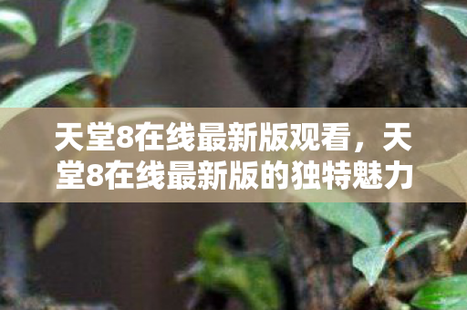 天堂8在线最新版观看，天堂8在线最新版的独特魅力与体验