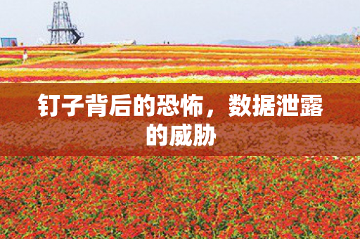 钉子背后的恐怖,数据泄露的威胁 钉子背后的恐怖,数据泄露的威胁