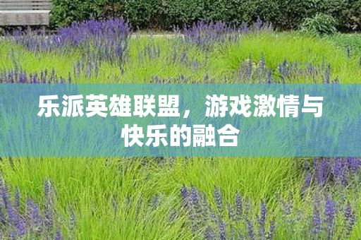 乐派英雄联盟,游戏激情与快乐的融合 乐派英雄联盟,游戏激情与快乐的融合