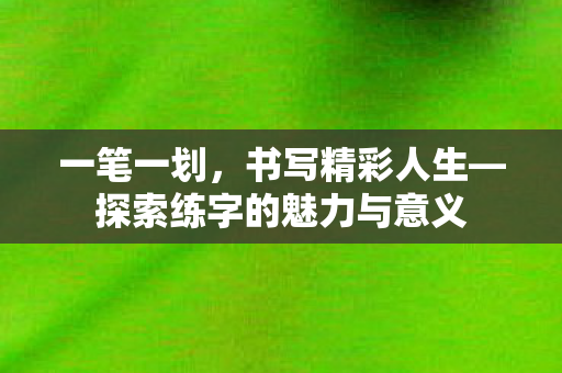 一笔一划,书写精彩人生—探索练字的魅力与意义 一笔一划,书写精彩人生—探索练字的魅力与意义