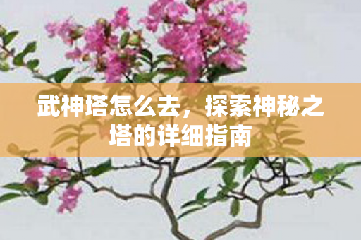 武神塔怎么去，探索神秘之塔的详细指南
