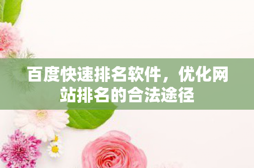 百度快速排名软件，优化网站排名的合法途径
