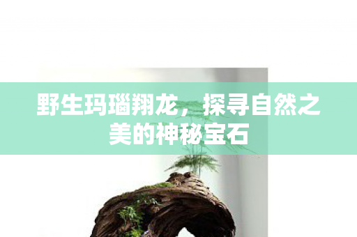 野生玛瑙翔龙,探寻自然之美的神秘宝石 野生玛瑙翔龙,探寻自然之美的神秘宝石