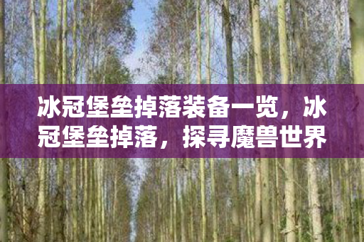 冰冠堡垒掉落装备一览,冰冠堡垒掉落,探寻魔兽世界的珍贵宝藏 冰冠堡垒掉落装备一览,冰冠堡垒掉落,探寻魔兽世界的珍贵宝藏