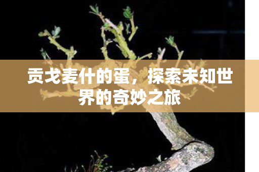 贡戈麦什的蛋,探索未知世界的奇妙之旅 贡戈麦什的蛋,探索未知世界的奇妙之旅