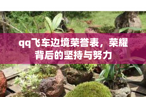 qq飞车边境荣誉表,荣耀背后的坚持与努力 qq飞车边境荣誉表,荣耀背后的坚持与努力