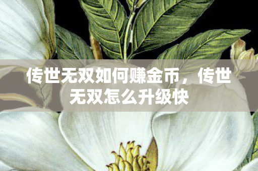 传世无双如何赚金币,传世无双怎么升级快 传世无双如何赚金币,传世无双怎么升级快