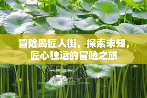 冒险岛匠人街,探索未知,匠心独运的冒险之旅 冒险岛匠人街,探索未知,匠心独运的冒险之旅