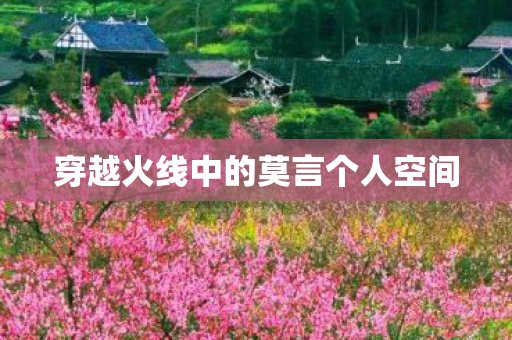 穿越火线中的莫言个人空间
