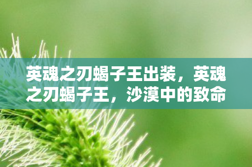 英魂之刃蝎子王出装,英魂之刃蝎子王,沙漠中的致命舞者 英魂之刃蝎子王出装,英魂之刃蝎子王,沙漠中的致命舞者