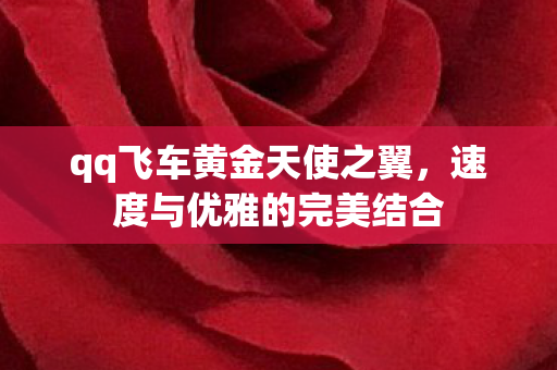 qq飞车黄金天使之翼,速度与优雅的完美结合 qq飞车黄金天使之翼,速度与优雅的完美结合