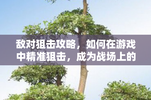 敌对狙击攻略,如何在游戏中精准狙击,成为战场上的霸主 敌对狙击攻略,如何在游戏中精准狙击,成为战场上的霸主