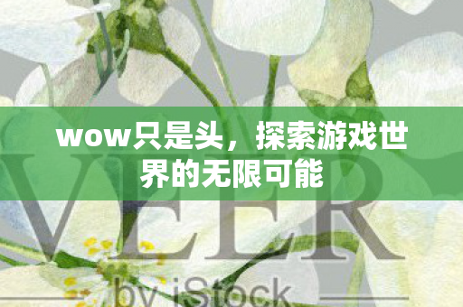 wow只是头,探索游戏世界的无限可能 wow只是头,探索游戏世界的无限可能