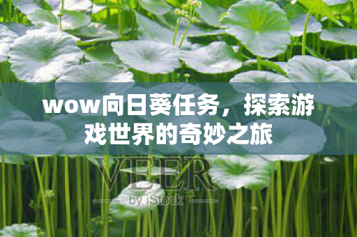 wow向日葵任务，探索游戏世界的奇妙之旅