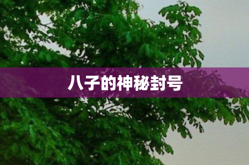 八子的神秘封号 八子的神秘封号