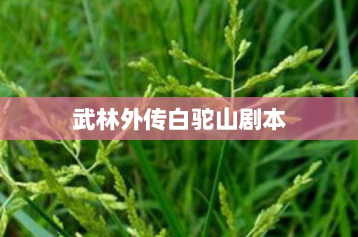 武林外传白驼山剧本 武林外传白驼山剧本