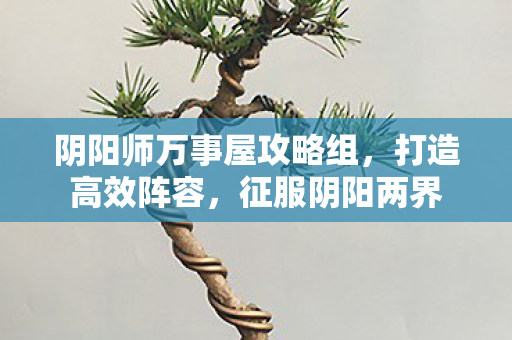 阴阳师万事屋攻略组，打造高效阵容，征服阴阳两界