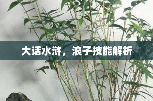 大话水浒,浪子技能解析 大话水浒,浪子技能解析