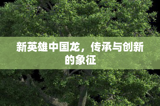 新英雄中国龙,传承与创新的象征 新英雄中国龙,传承与创新的象征