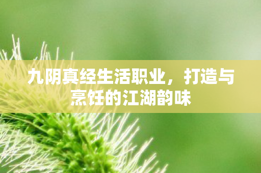 九阴真经生活职业，打造与烹饪的江湖韵味