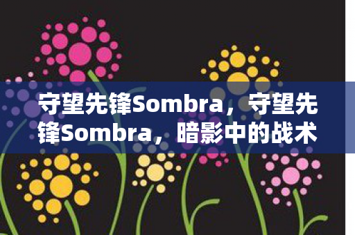 守望先锋Sombra，守望先锋Sombra，暗影中的战术大师