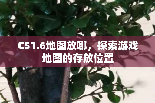 CS1.6地图放哪,探索游戏地图的存放位置 CS1.6地图放哪,探索游戏地图的存放位置