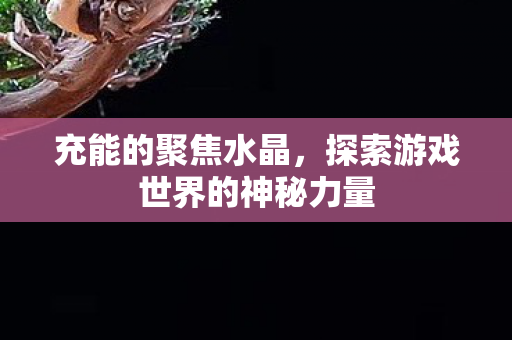 充能的聚焦水晶,探索游戏世界的神秘力量 充能的聚焦水晶,探索游戏世界的神秘力量