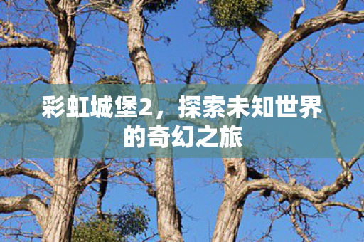 彩虹城堡2,探索未知世界的奇幻之旅 彩虹城堡2,探索未知世界的奇幻之旅