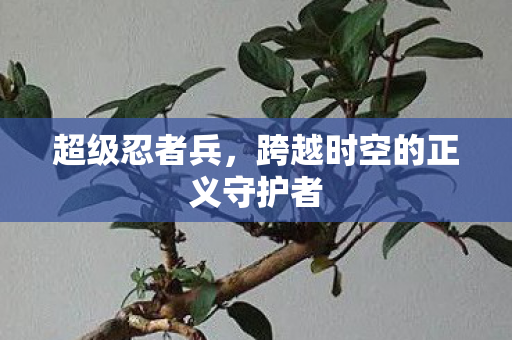 超级忍者兵,跨越时空的正义守护者 超级忍者兵,跨越时空的正义守护者