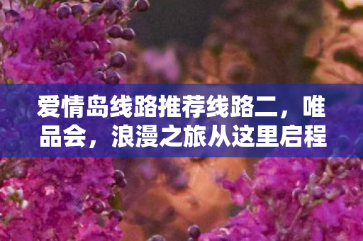 爱情岛线路推荐线路二,唯品会,浪漫之旅从这里启程 爱情岛线路推荐线路二,唯品会,浪漫之旅从这里启程