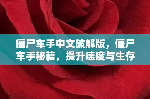 僵尸车手中文破解版,僵尸车手秘籍,提升速度与生存技巧 僵尸车手中文破解版,僵尸车手秘籍,提升速度与生存技巧