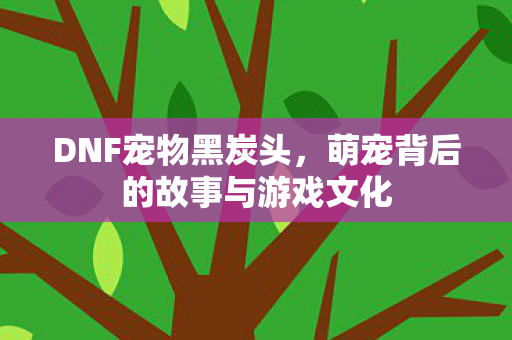DNF宠物黑炭头,萌宠背后的故事与游戏文化 DNF宠物黑炭头,萌宠背后的故事与游戏文化