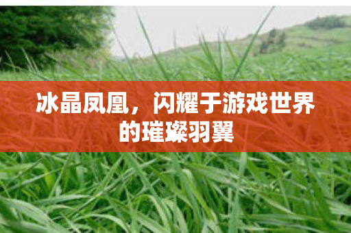 冰晶凤凰,闪耀于游戏世界的璀璨羽翼 冰晶凤凰,闪耀于游戏世界的璀璨羽翼