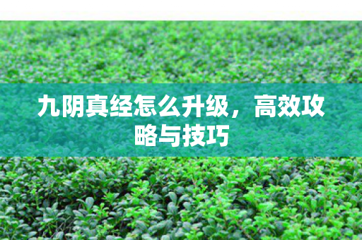九阴真经怎么升级,高效攻略与技巧 九阴真经怎么升级,高效攻略与技巧