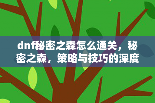 dnf秘密之森怎么通关,秘密之森,策略与技巧的深度解析 dnf秘密之森怎么通关,秘密之森,策略与技巧的深度解析