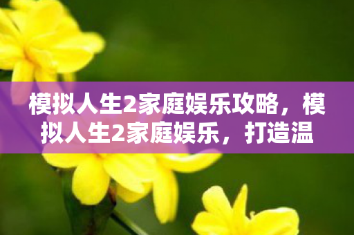 模拟人生2家庭娱乐攻略，模拟人生2家庭娱乐，打造温馨家庭氛围的绝佳选择