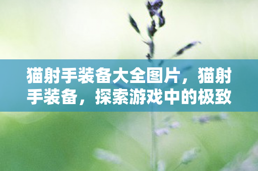 猫射手装备大全图片,猫射手装备,探索游戏中的极致战斗力 猫射手装备大全图片,猫射手装备,探索游戏中的极致战斗力