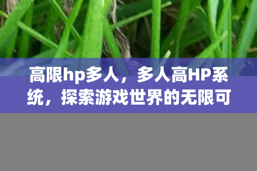 高限hp多人,多人高HP系统,探索游戏世界的无限可能 高限hp多人,多人高HP系统,探索游戏世界的无限可能