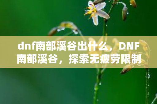 dnf南部溪谷出什么,DNF南部溪谷,探索无疲劳限制的神秘之地 dnf南部溪谷出什么,DNF南部溪谷,探索无疲劳限制的神秘之地