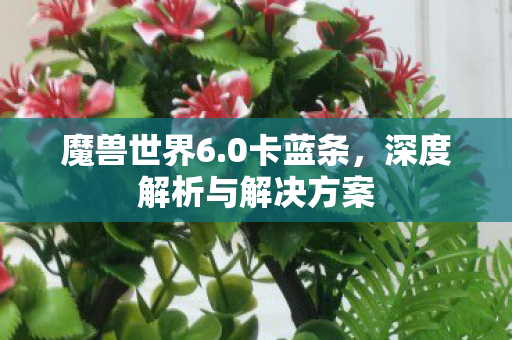 魔兽世界6.0卡蓝条，深度解析与解决方案