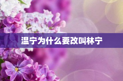 温宁为什么要改叫林宁 温宁为什么要改叫林宁