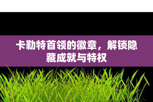 卡勒特首领的徽章，解锁隐藏成就与特权