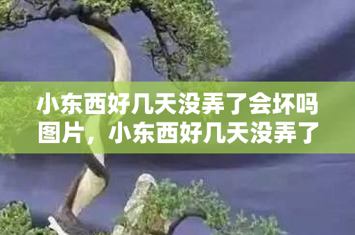 小东西好几天没弄了会坏吗图片,小东西好几天没弄了会坏吗? 小东西好几天没弄了会坏吗图片,小东西好几天没弄了会坏吗?